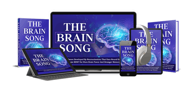 What is The Brain Song ?
